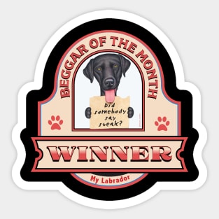 Labrador Retriever-Beggar of the Month Winner Sticker